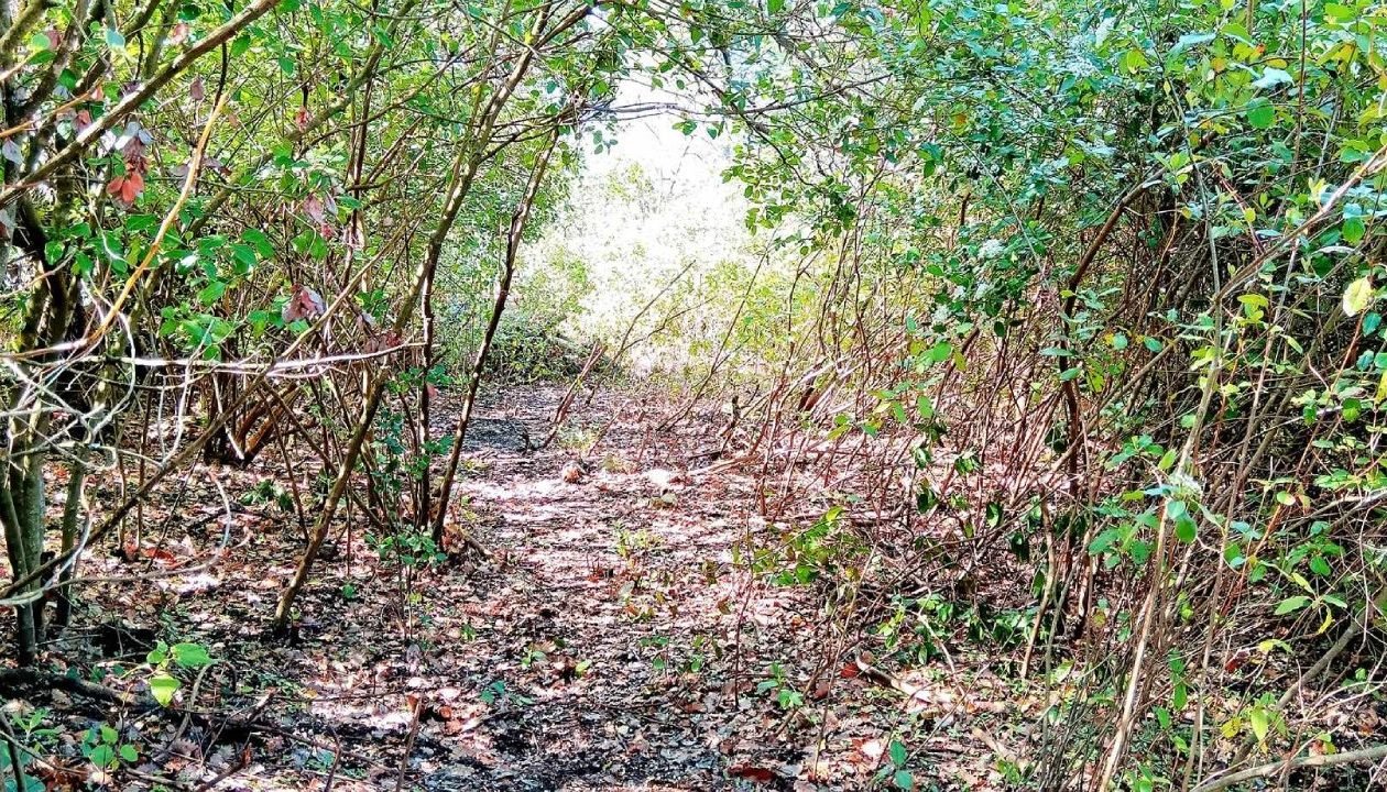 429938736_938091527787715_4737573252536916094_n